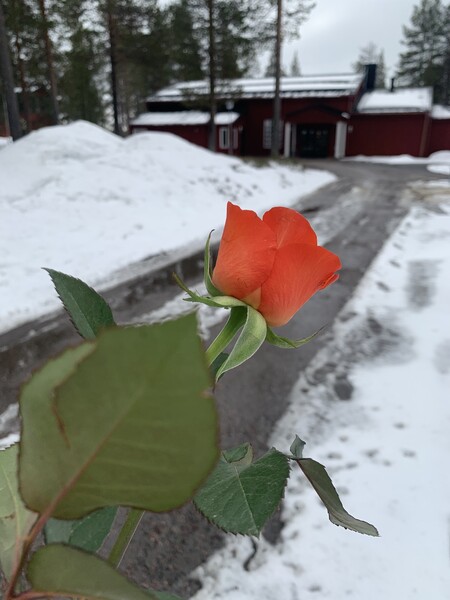 Klicka för att se förhandsgranska