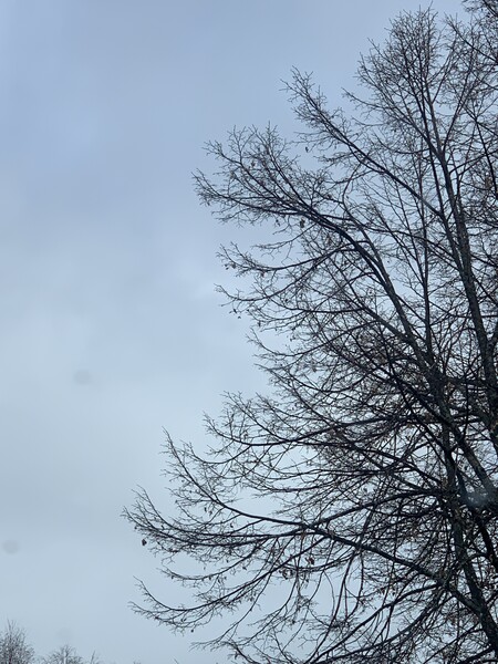 Klicka för att se förhandsgranska