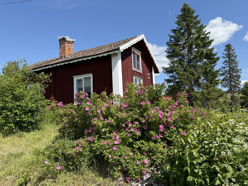 Klicka för att se förhandsgranska