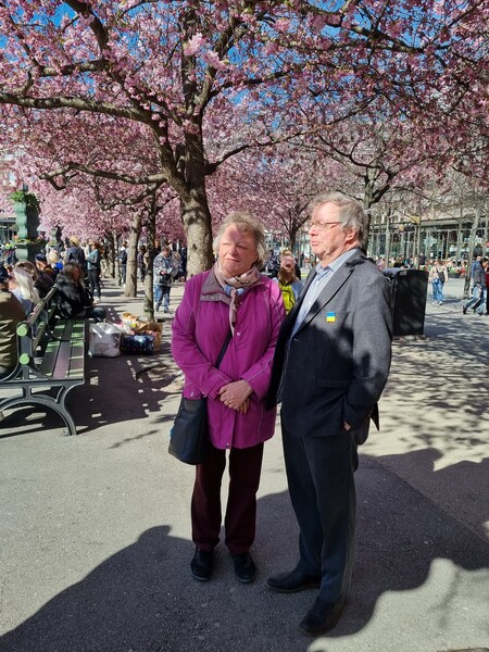 Lisbeth & Per tittar på de blommande körsbärsträden i Kungsträdgården 2022.

Foto: Marianne Uddheden 